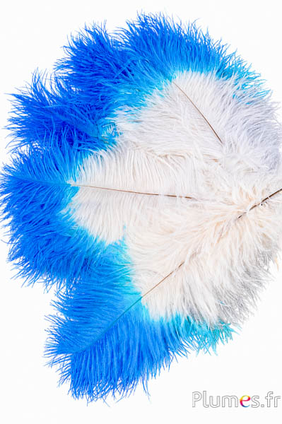 Struzzo - 30-40 cm - crema punta turchese